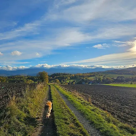 Izerskie Gaje 公寓 *