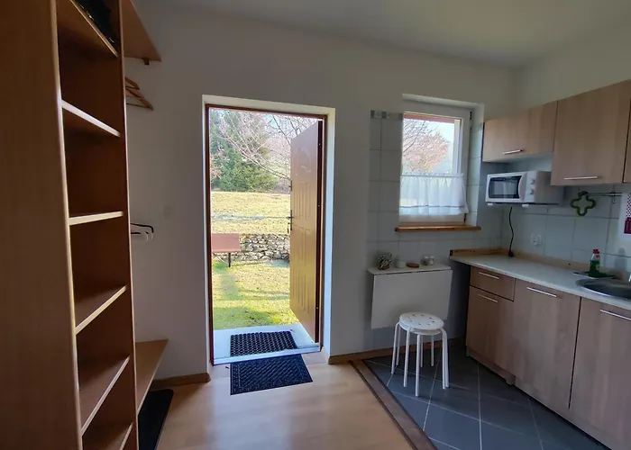 Apartment Izerskie Gaje