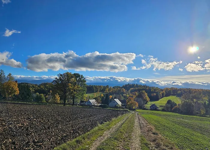 Izerskie Gaje Apartment