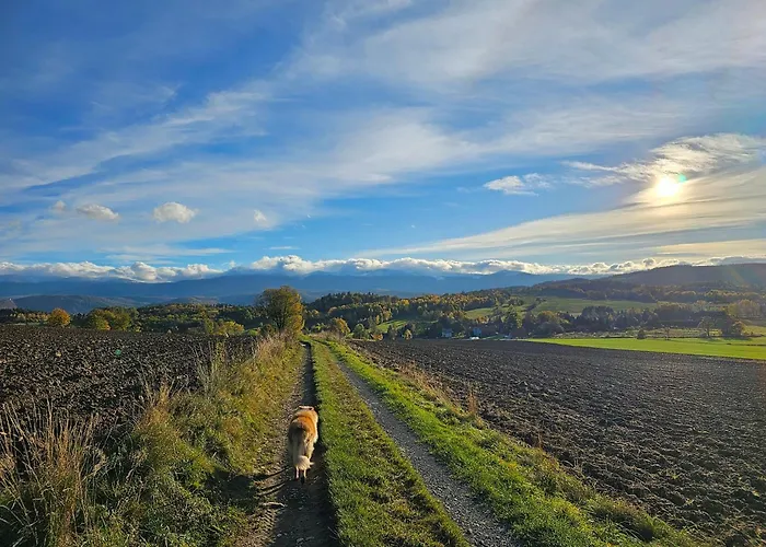 Izerskie Gaje Apartman *